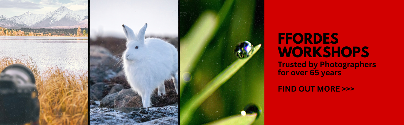 Image Ffordes Workshops1.png